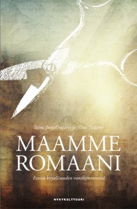 Maamme romaani: esseitä kirjallisuuden vuosikymmenistä